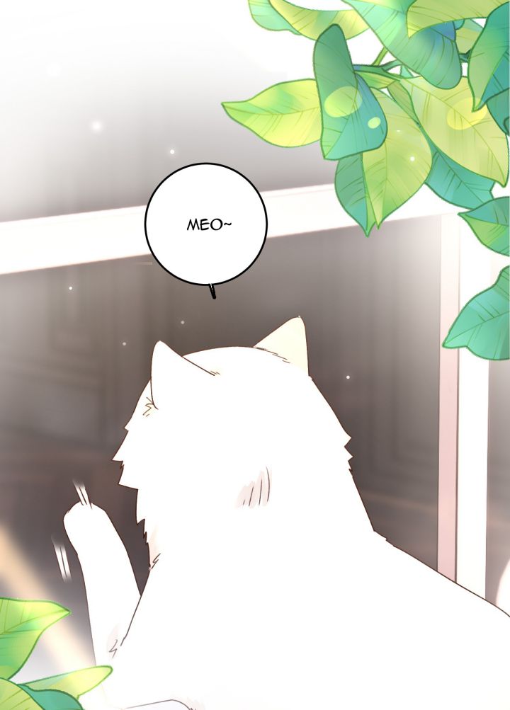 Tôi Phải Làm 1 Kẻ Đại Xấu Xa Chap 15 - Trang 3