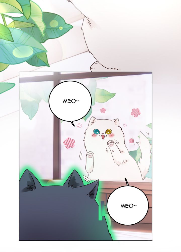Tôi Phải Làm 1 Kẻ Đại Xấu Xa Chap 15 - Trang 3