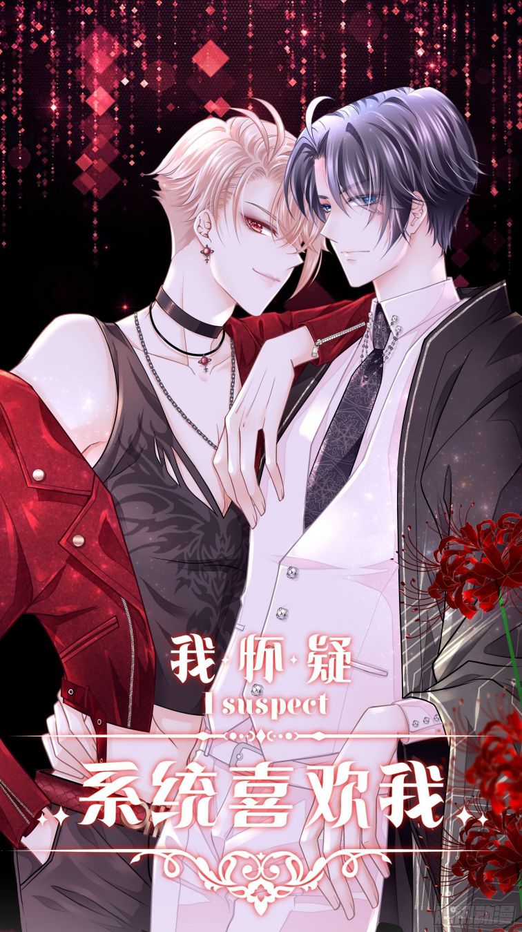 Tôi Nghi Ngờ Hệ Thống Thích Tôi Chap 4 - Trang 2