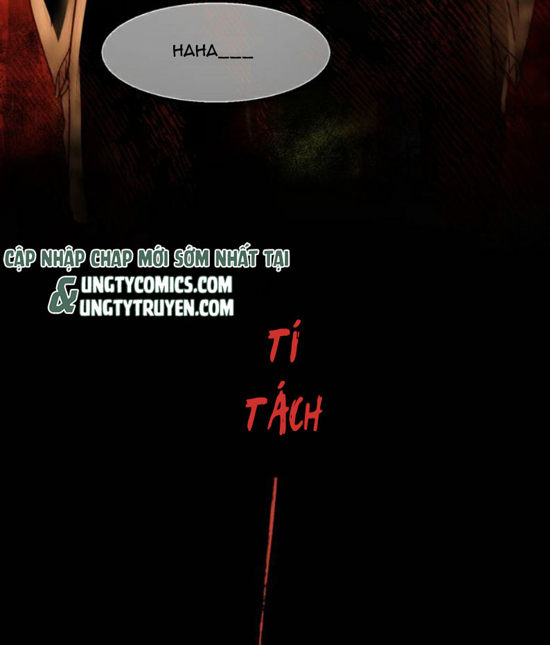 Tôi Phải Làm 1 Kẻ Đại Xấu Xa Chap 23 - Next Chapter 23.5