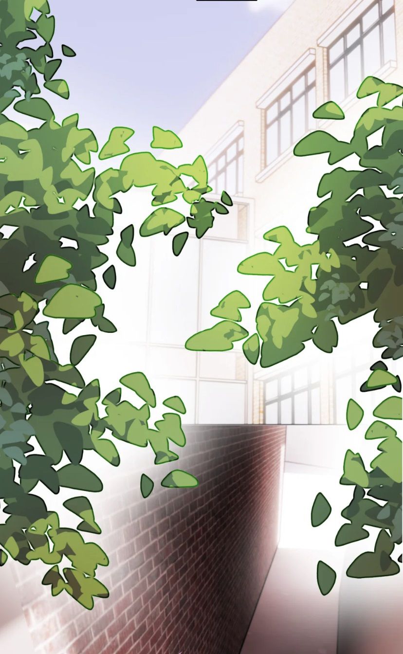 Tôi Phải Làm 1 Kẻ Đại Xấu Xa Chap 24 - Next Chapter 24.5