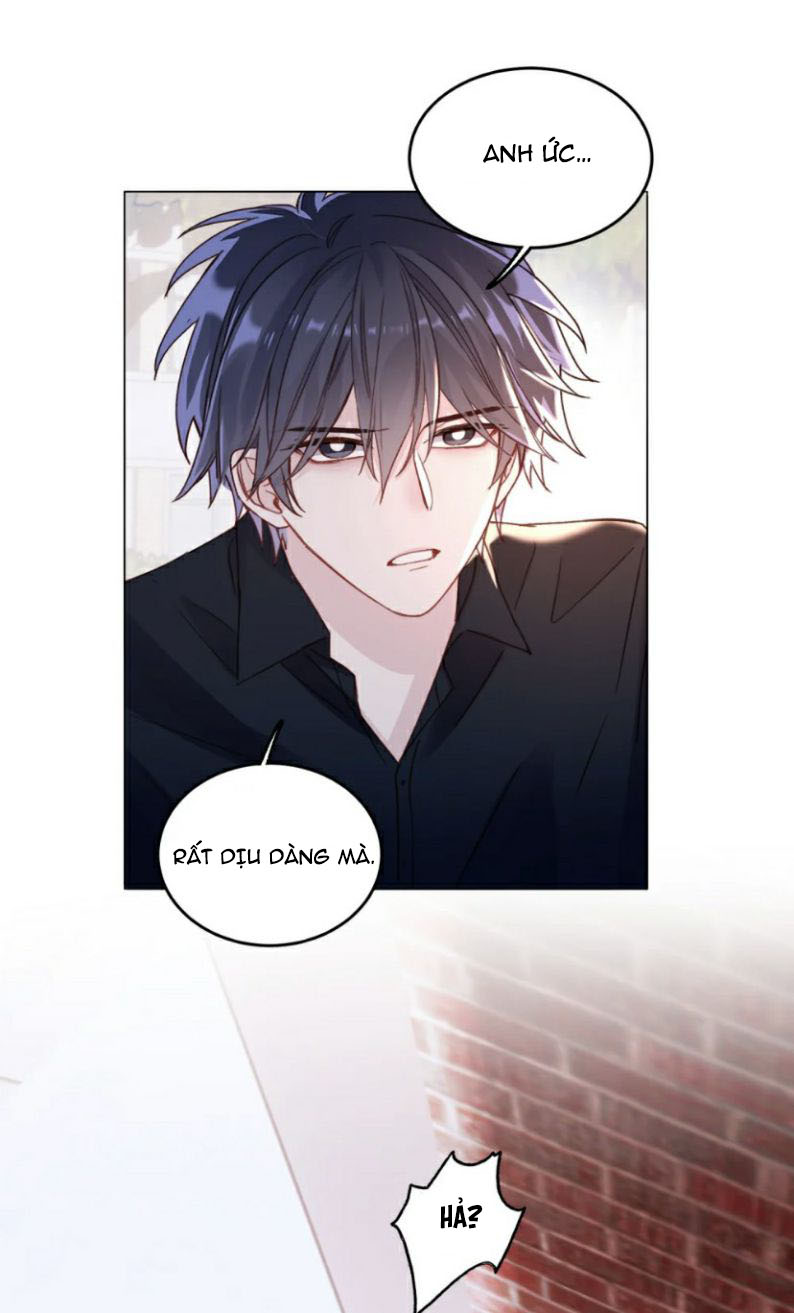 Tôi Phải Làm 1 Kẻ Đại Xấu Xa Chap 24 - Next Chapter 24.5