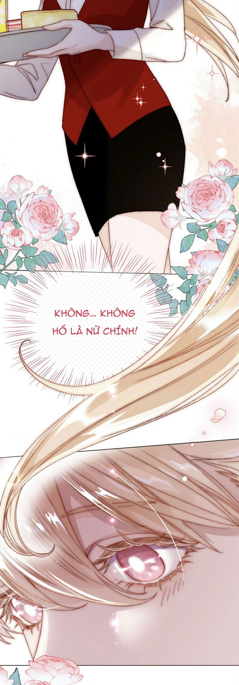 Tôi Phải Làm 1 Kẻ Đại Xấu Xa Chap 25 - Next Chapter 25.5