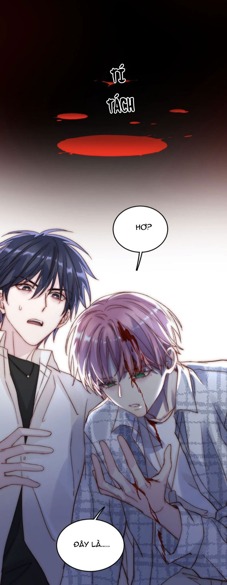 Tôi Phải Làm 1 Kẻ Đại Xấu Xa Chap 27 - Next Chapter 27.5