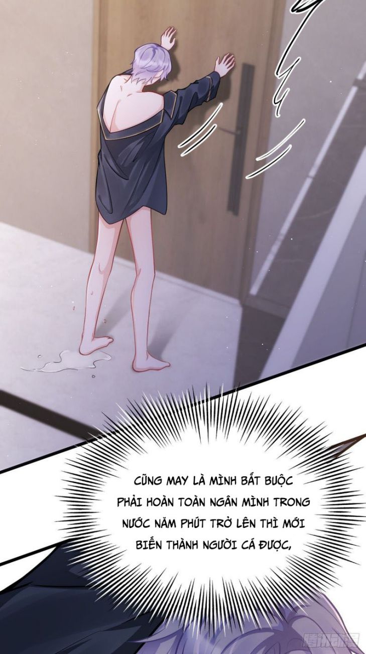 Tôi Hoài Nghi Ảnh Đế Đang Theo Đuổi Tôi Chapter 3 - Trang 4