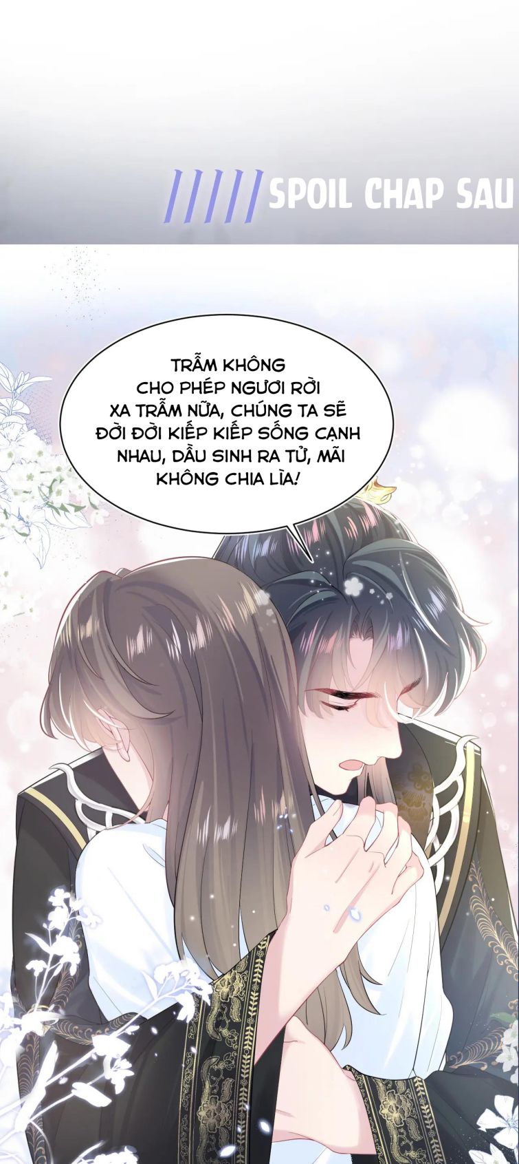 Tuyệt Mỹ Bạch Liên Hoa Online Dạy Học Chapter 50 - Trang 4