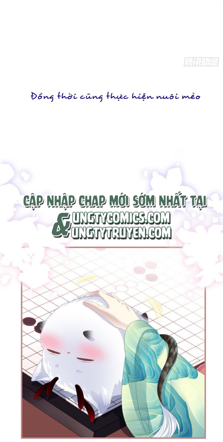 Hắc Hóa Đại Lão Thuần Dưỡng Chỉ Nam Văn Án - Trang 2