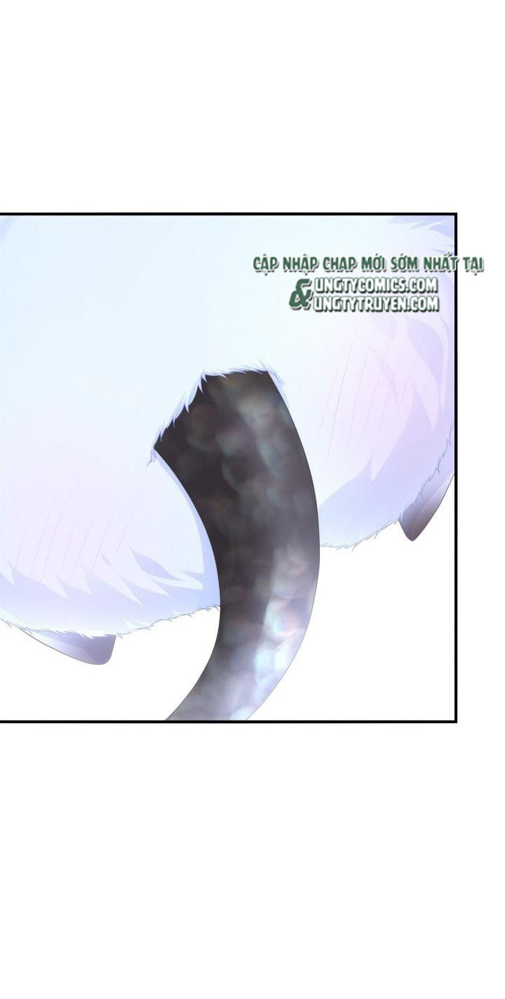 Hắc Hóa Đại Lão Thuần Dưỡng Chỉ Nam Chapter 2 - Trang 4