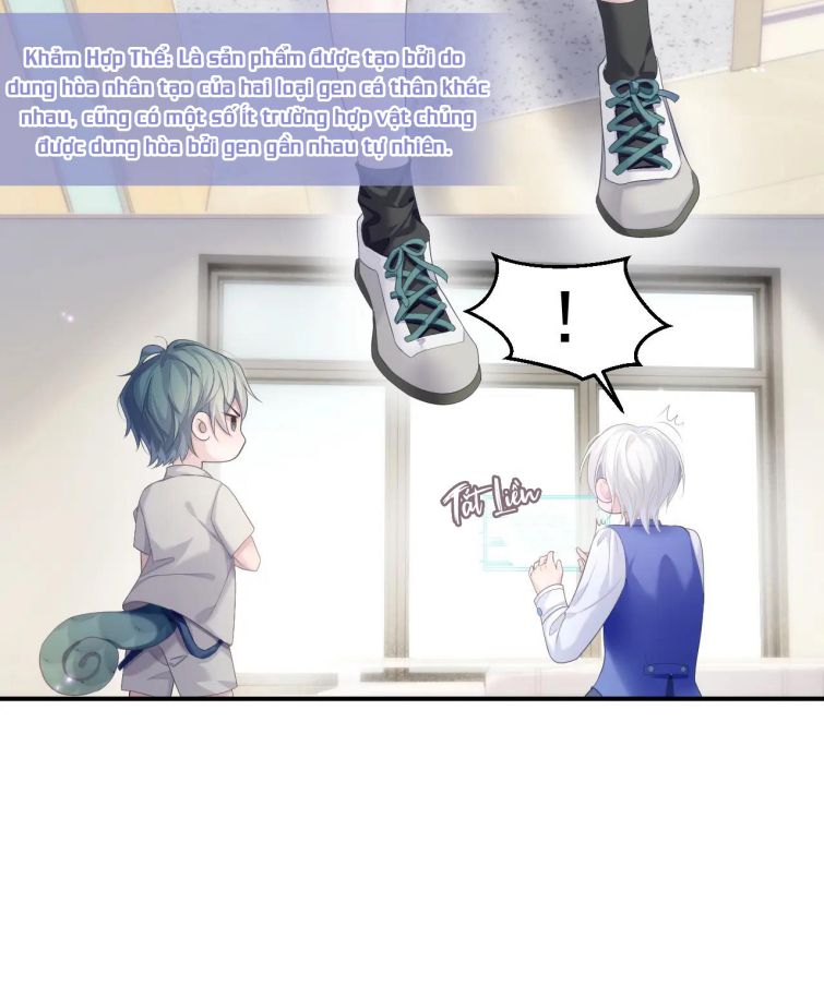 Đơn Xin Ly Hôn Chapter 33 - Trang 3