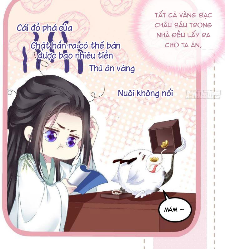 Hắc Hóa Đại Lão Thuần Dưỡng Chỉ Nam Chapter 8 - Trang 4