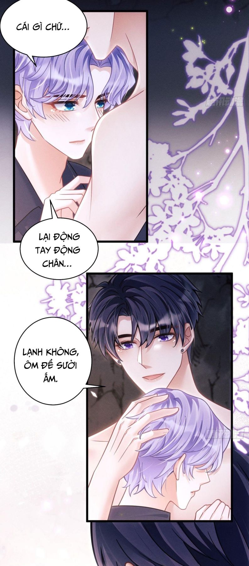 Tôi Hoài Nghi Ảnh Đế Đang Theo Đuổi Tôi Chapter 28 - Trang 4