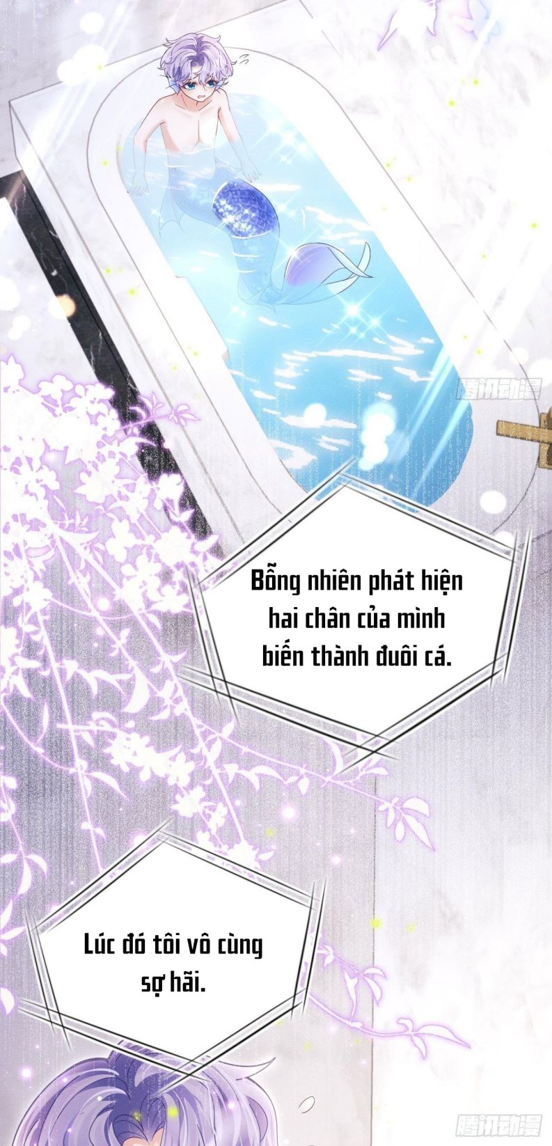 Tôi Hoài Nghi Ảnh Đế Đang Theo Đuổi Tôi Chapter 28 - Trang 4