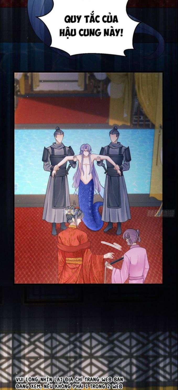 Tôi Hoài Nghi Ảnh Đế Đang Theo Đuổi Tôi Chapter 31 - Trang 4