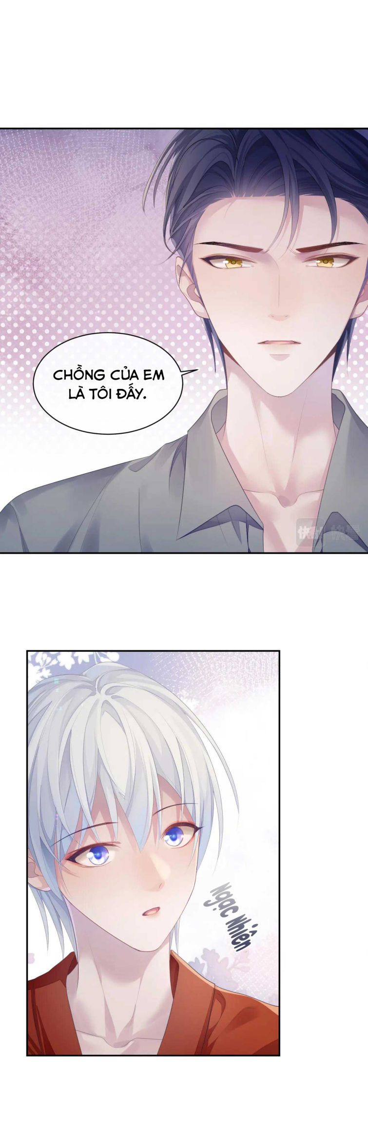 Đơn Xin Ly Hôn Chapter 49 - Trang 3