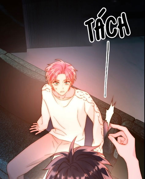 Tôi Phải Làm 1 Kẻ Đại Xấu Xa Phiên Ngoại Đặc Biệt - Next Chap 1