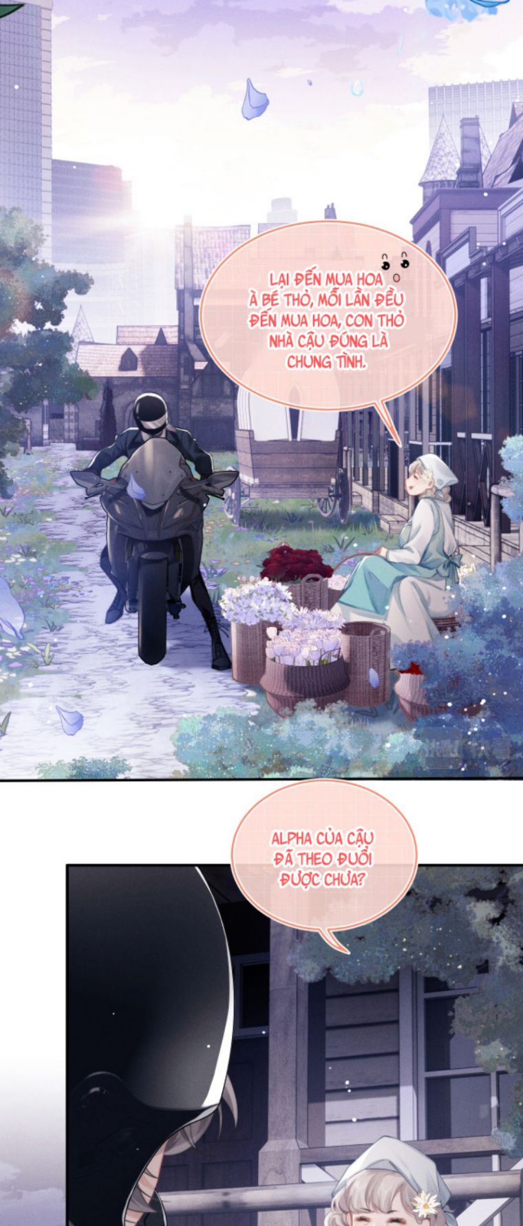 Chấp Sự Thỏ Cụp Tai Chapter 1 - Trang 4