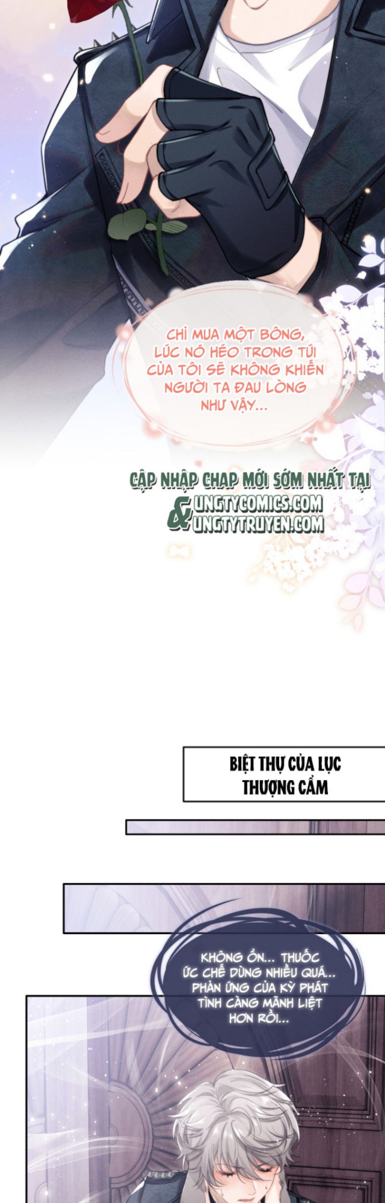 Chấp Sự Thỏ Cụp Tai Chapter 1 - Trang 4
