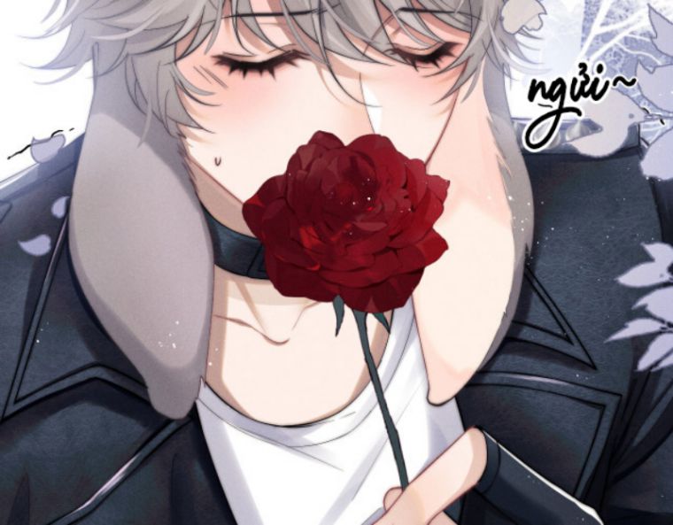 Chấp Sự Thỏ Cụp Tai Chapter 1 - Trang 4