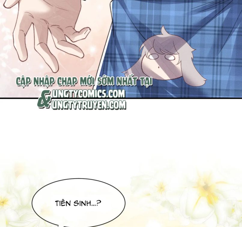 Chấp Sự Thỏ Cụp Tai Chapter 6 - Trang 4
