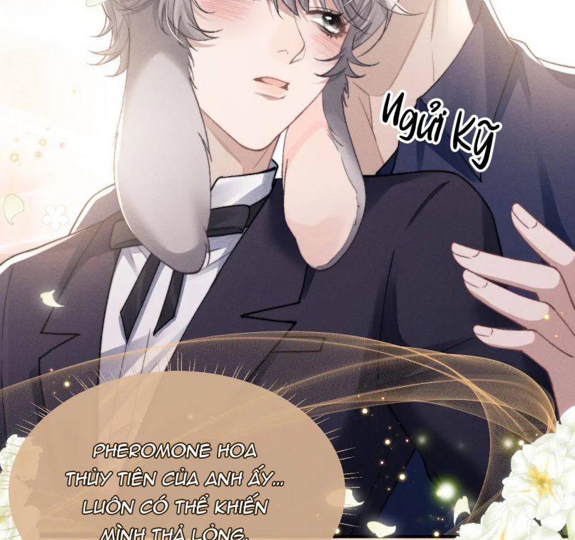 Chấp Sự Thỏ Cụp Tai Chapter 6 - Trang 4
