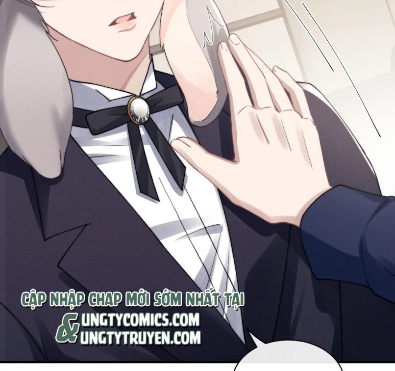 Chấp Sự Thỏ Cụp Tai Chapter 6 - Trang 4