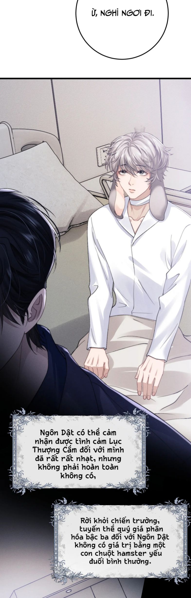 Chấp Sự Thỏ Cụp Tai Chapter 11 - Next Chapter 12