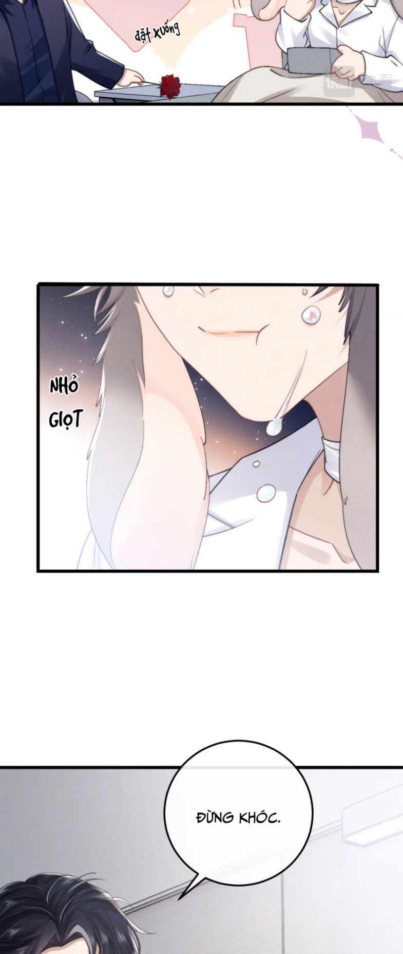 Chấp Sự Thỏ Cụp Tai Chapter 11 - Next Chapter 12