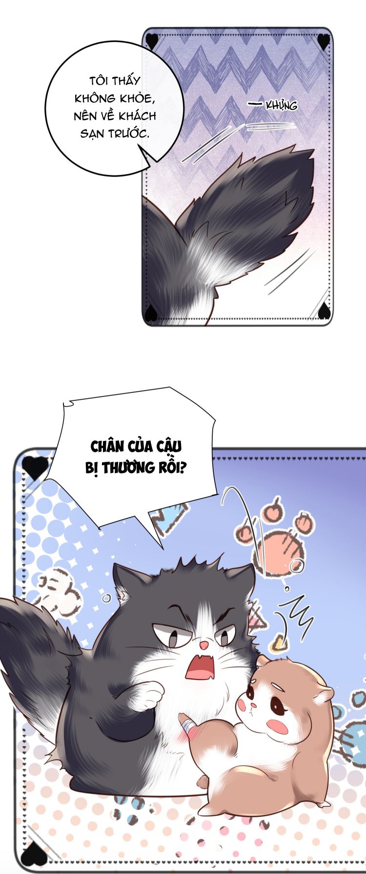 Tổng Tài Định Chế Tư Nhân Chapter 23 - Trang 4