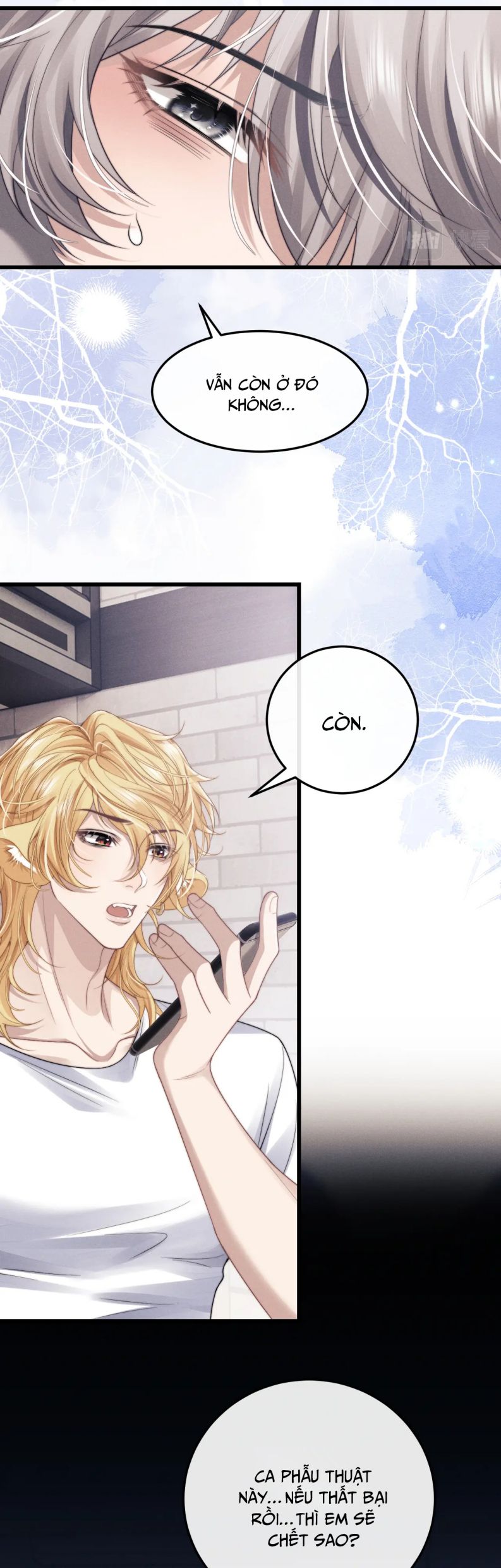 Chấp Sự Thỏ Cụp Tai Chapter 13 - Trang 4