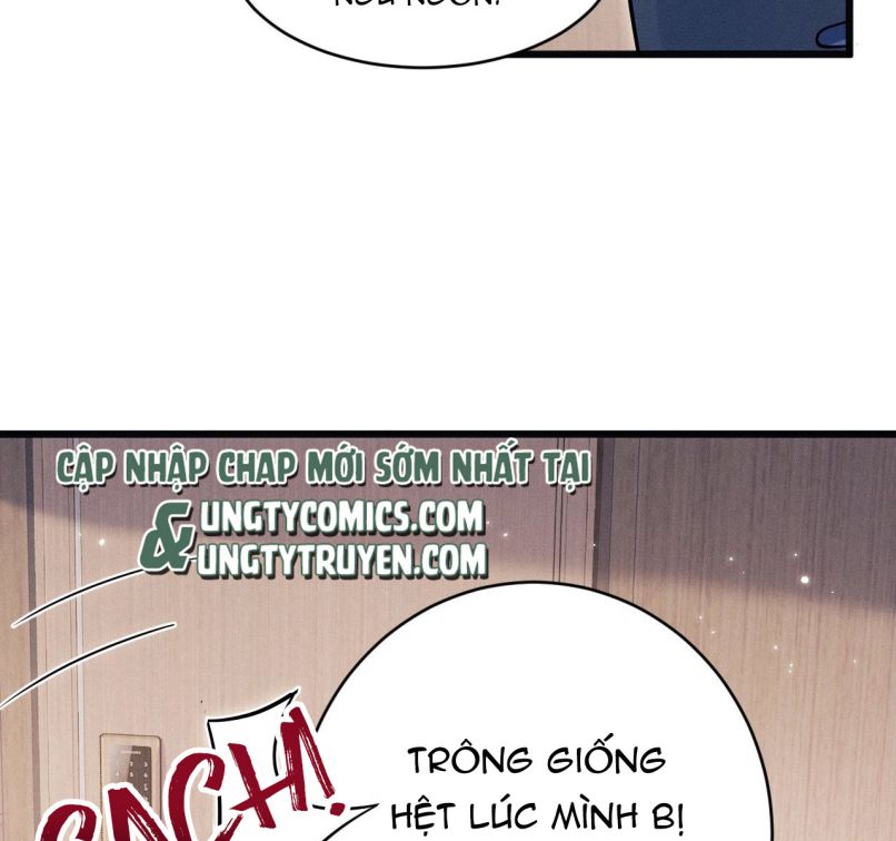 Tôi Hoài Nghi Ảnh Đế Đang Theo Đuổi Tôi Chapter 60 - Trang 4