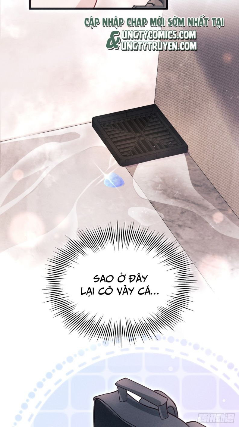Tôi Hoài Nghi Ảnh Đế Đang Theo Đuổi Tôi Chapter 61 - Trang 4