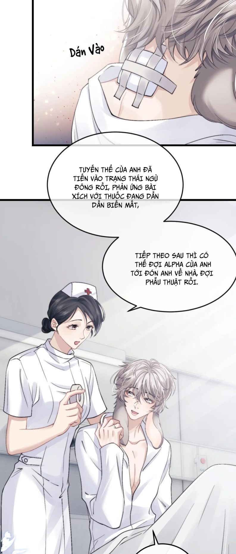 Chấp Sự Thỏ Cụp Tai Chapter 15 - Trang 4