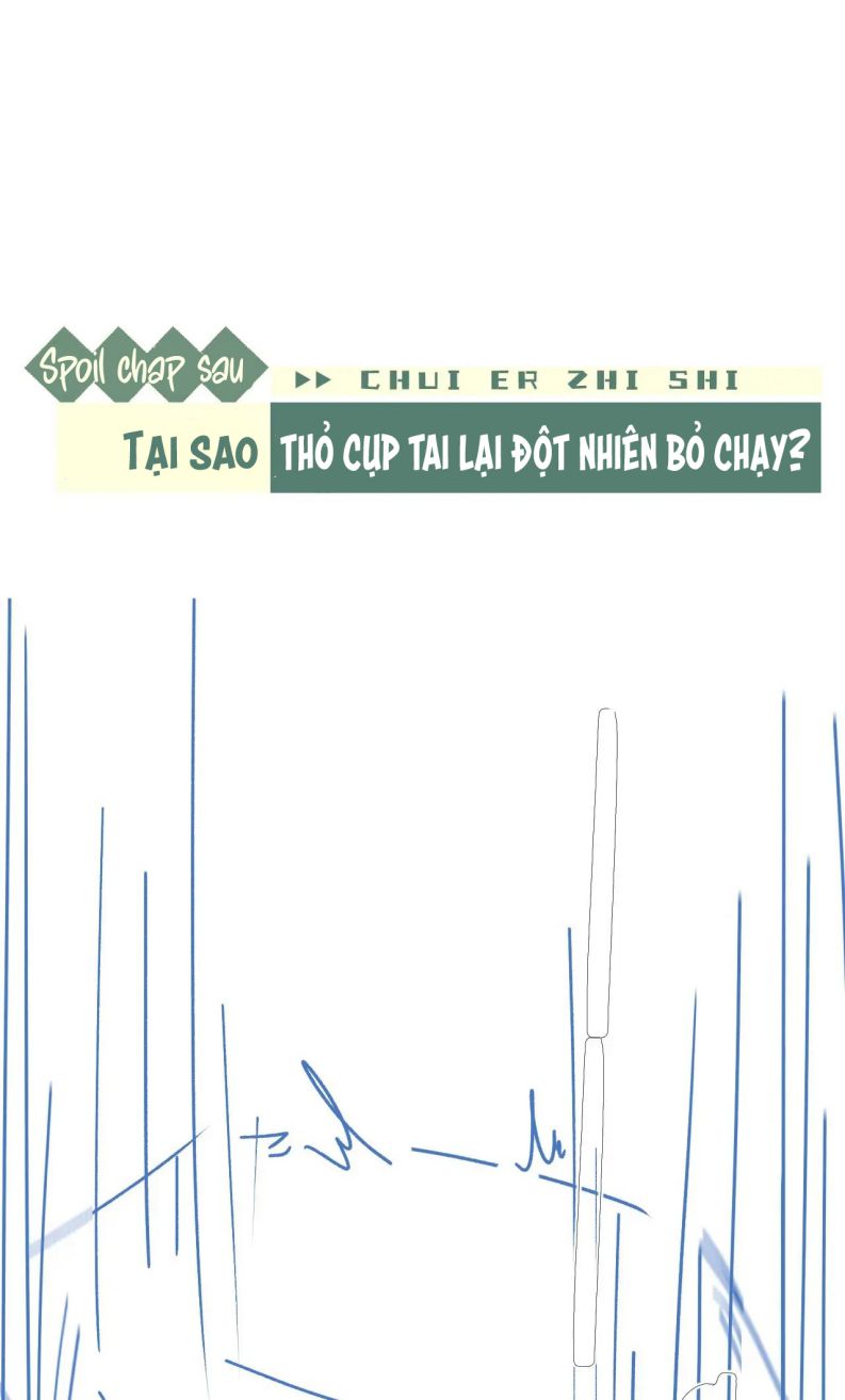 Chấp Sự Thỏ Cụp Tai Chapter 15 - Trang 4