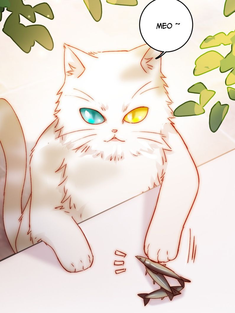 Tôi Phải Làm 1 Kẻ Đại Xấu Xa Chapter 69 - Trang 4