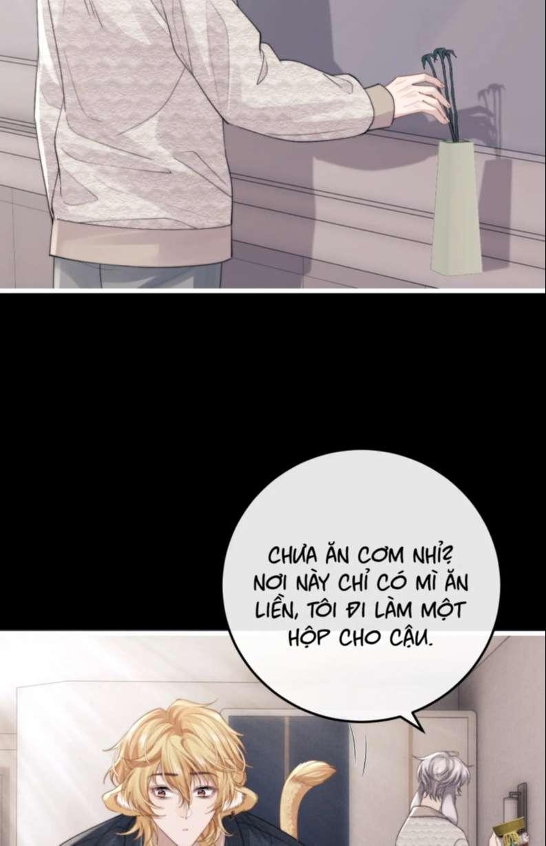 Chấp Sự Thỏ Cụp Tai Chapter 23 - Trang 4