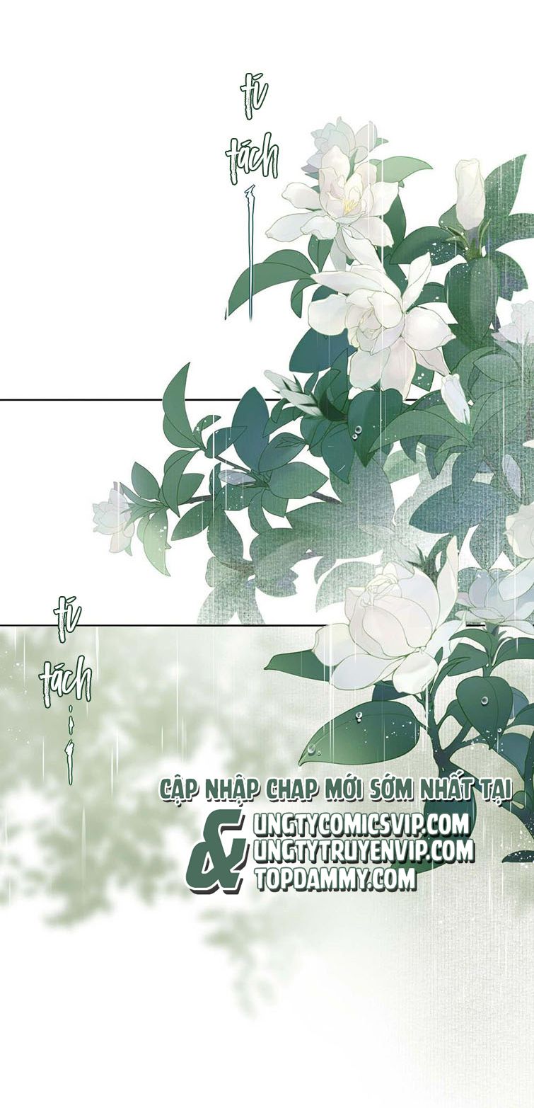 Sau Khi Chết Ta Trở Thành Nốt Chu Sa Của Ca Ca Chapter 2 - Trang 4