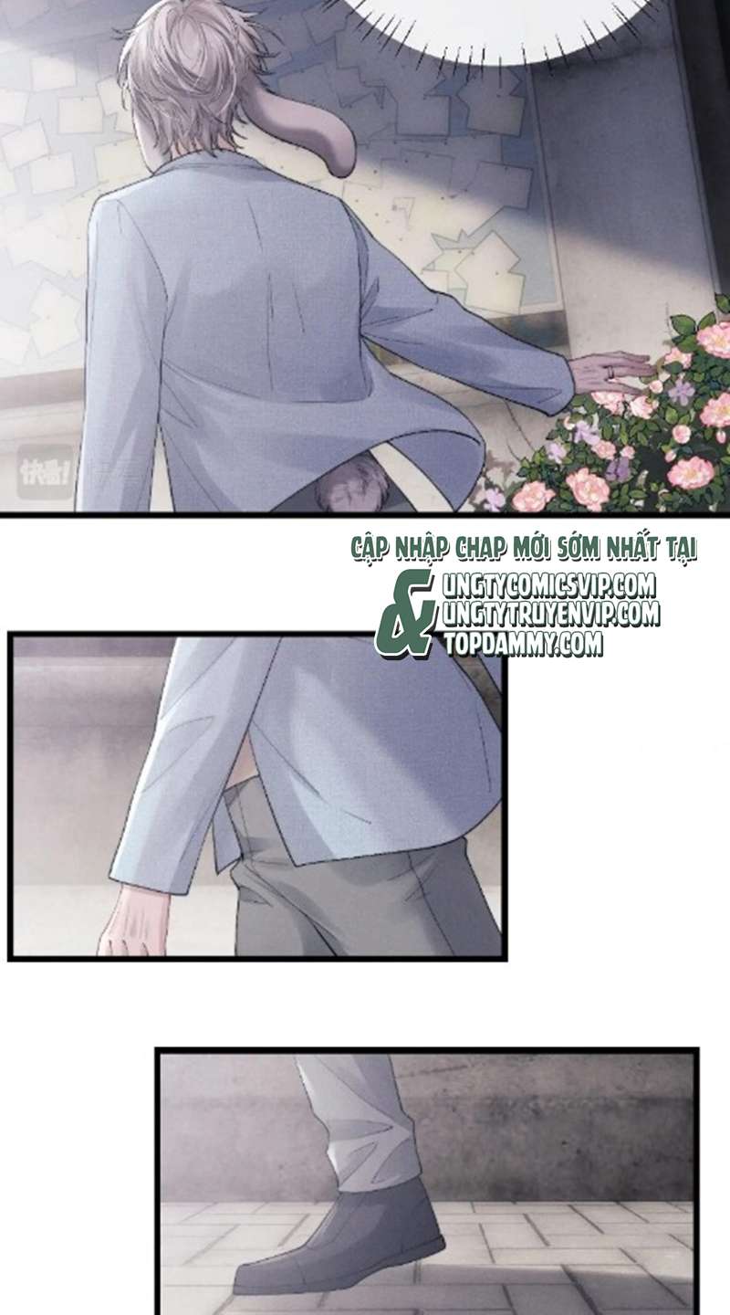 Chấp Sự Thỏ Cụp Tai Chapter 35 - Trang 4