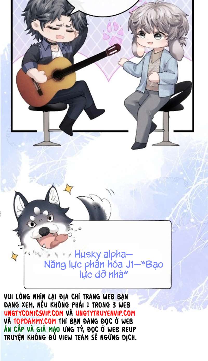 Chấp Sự Thỏ Cụp Tai Chapter 35 - Trang 4