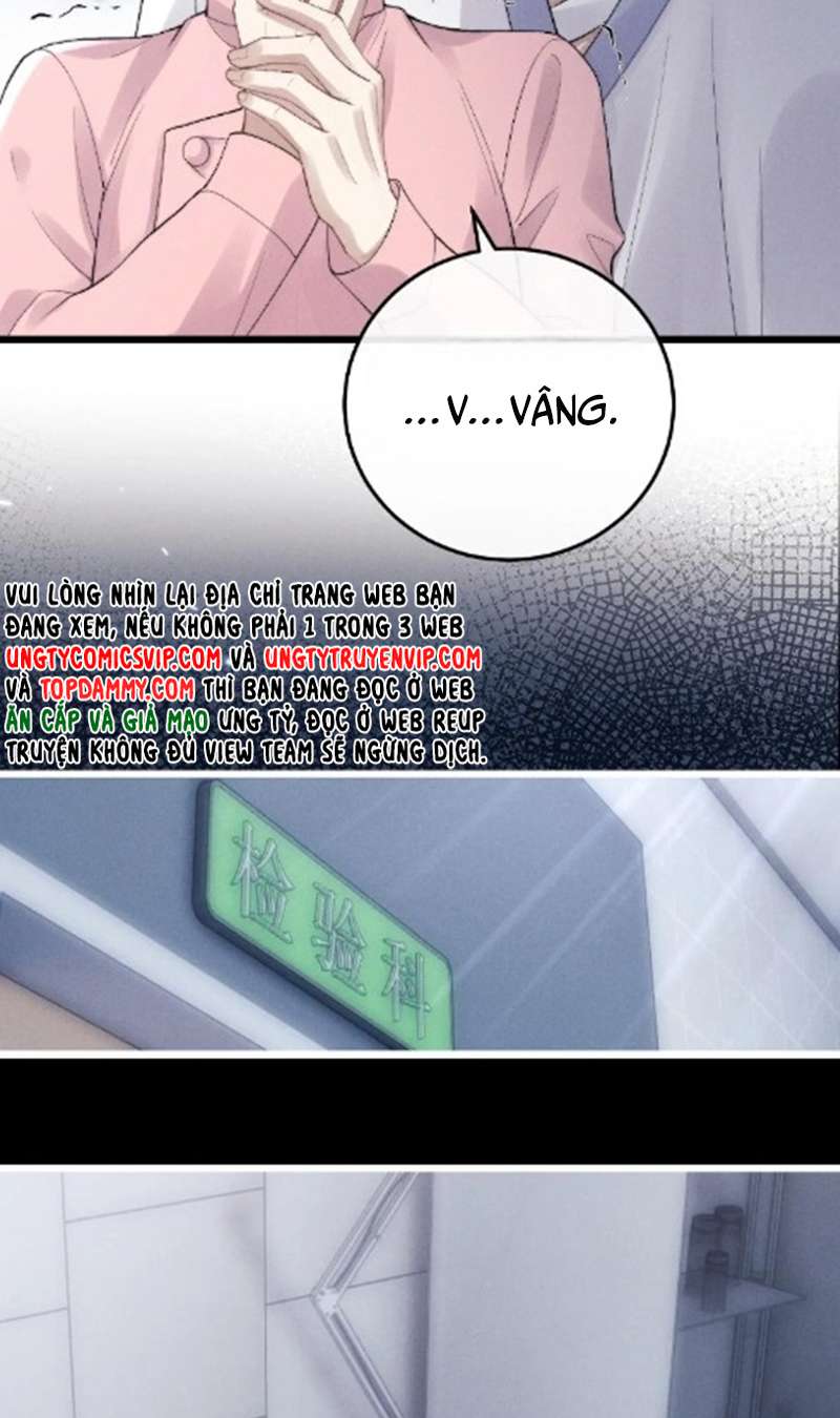 Chấp Sự Thỏ Cụp Tai Chapter 35 - Trang 4