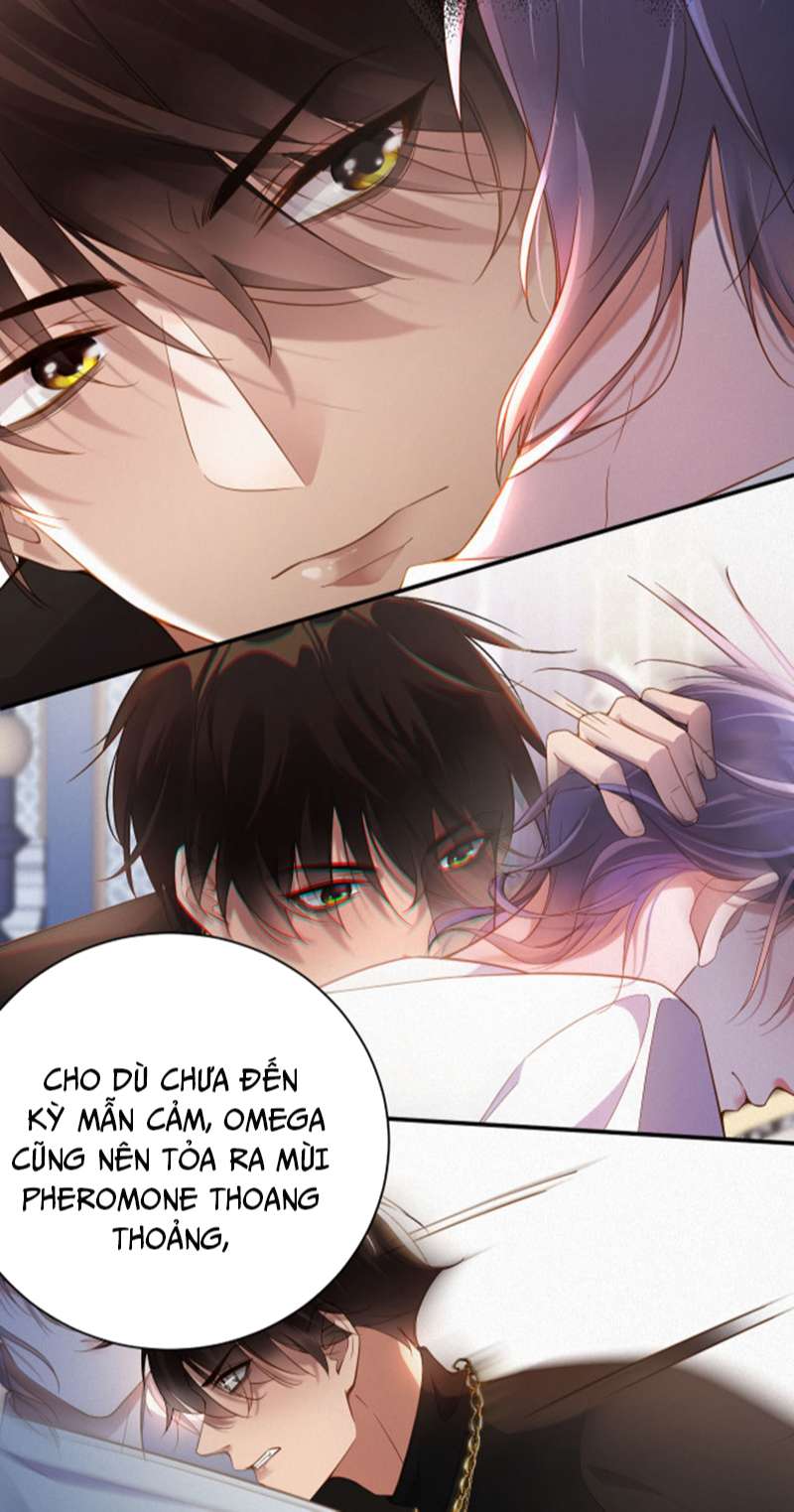 Chồng Trước Lại Muốn Phục Hôn Rồi Chapter 1 - Trang 3