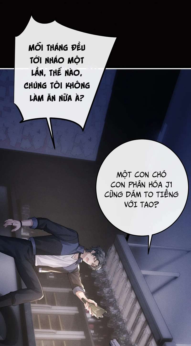 Chấp Sự Thỏ Cụp Tai Chapter 37 - Trang 4