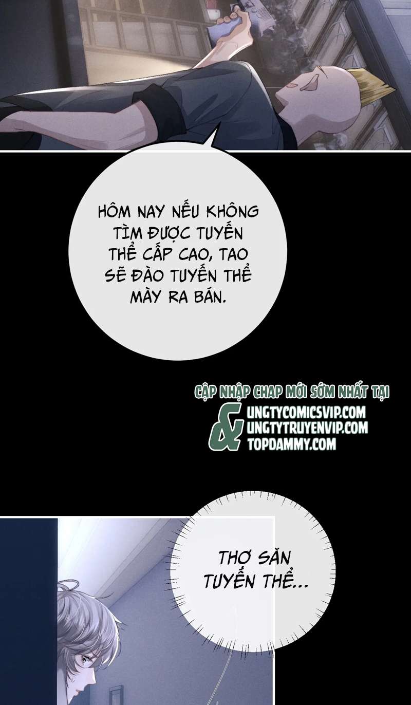 Chấp Sự Thỏ Cụp Tai Chapter 37 - Trang 4