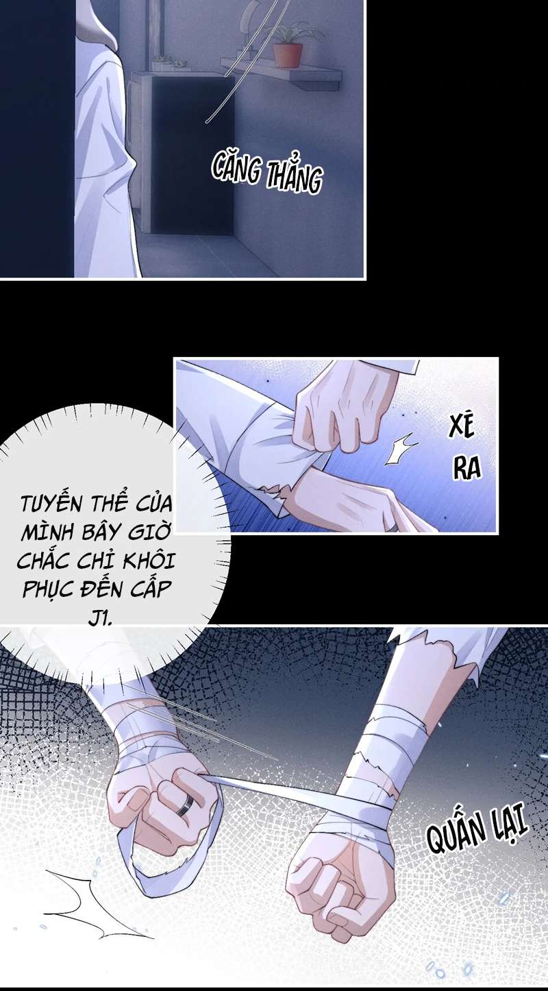 Chấp Sự Thỏ Cụp Tai Chapter 37 - Trang 4