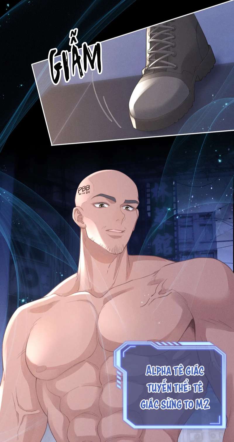 Chấp Sự Thỏ Cụp Tai Chapter 37 - Trang 4