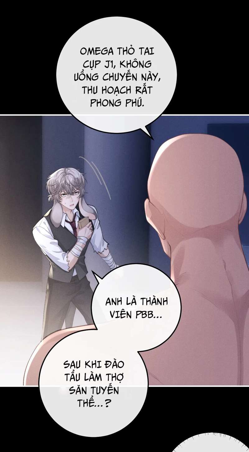 Chấp Sự Thỏ Cụp Tai Chapter 37 - Trang 4