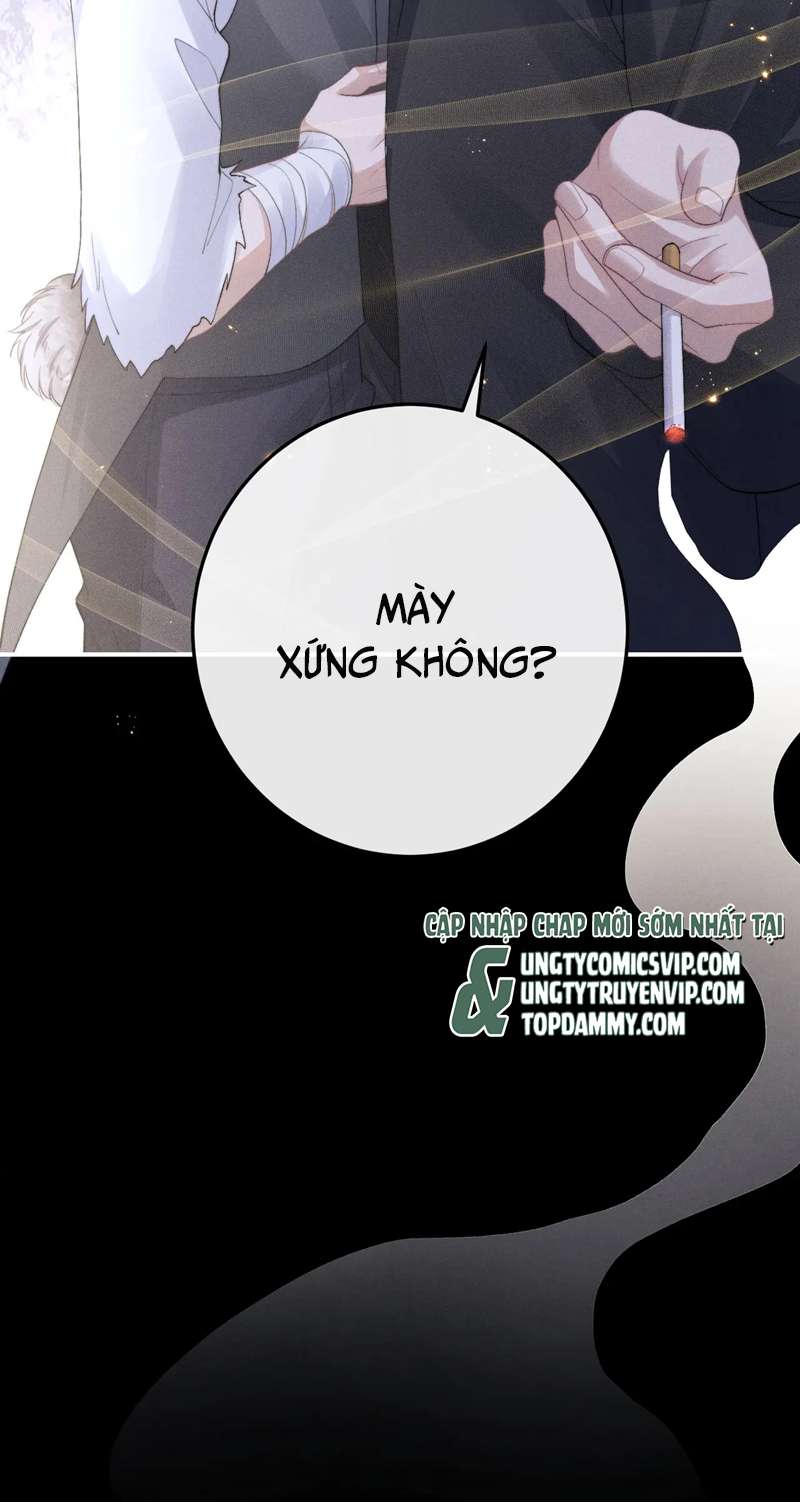 Chấp Sự Thỏ Cụp Tai Chapter 37 - Trang 4