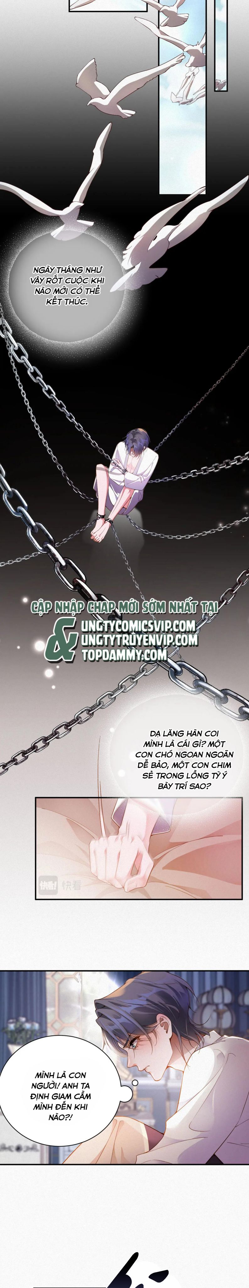 Chồng Trước Lại Muốn Phục Hôn Rồi Chapter 3 - Trang 3