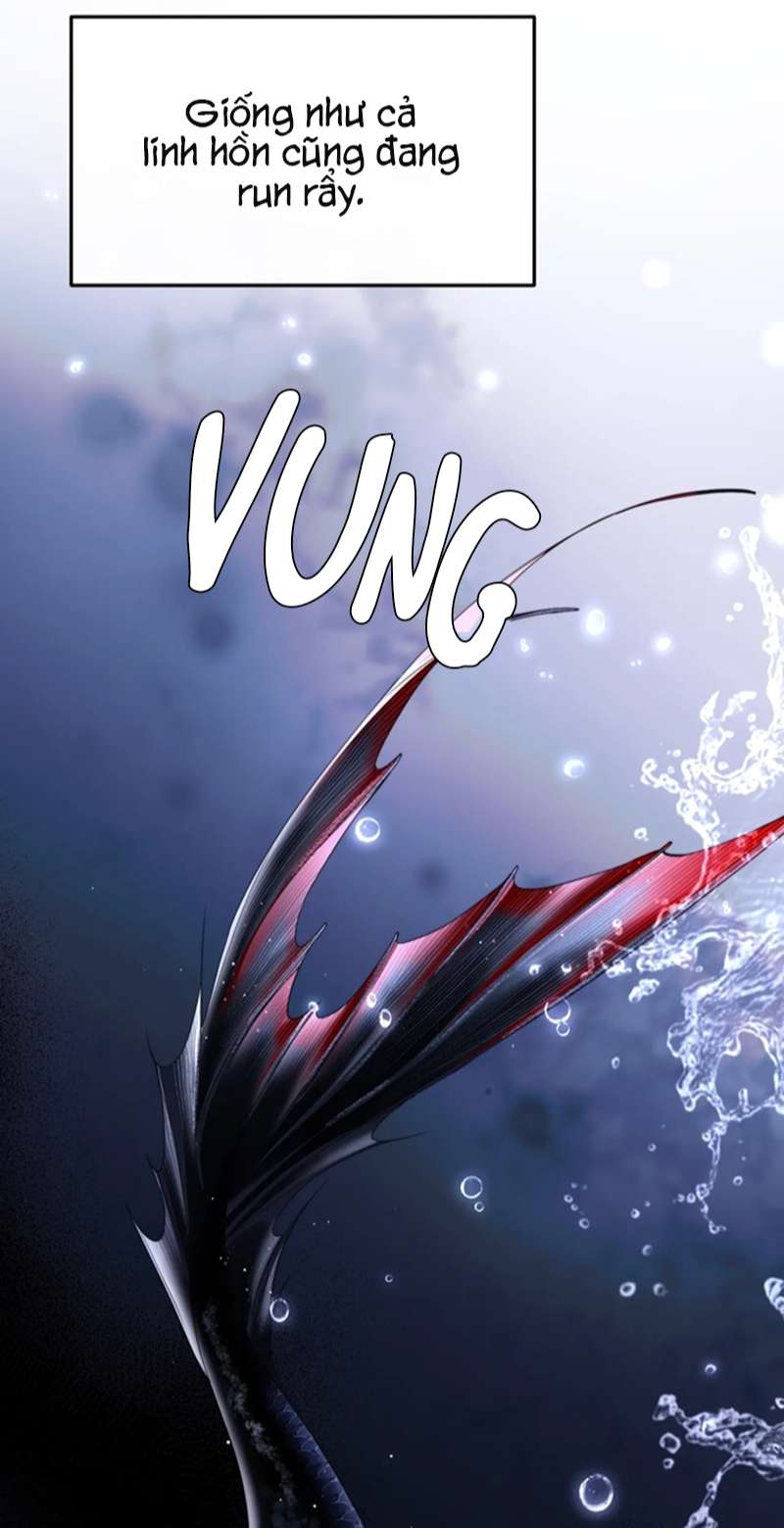 Desharow Nhân Ngư Chap 3 - Trang 2