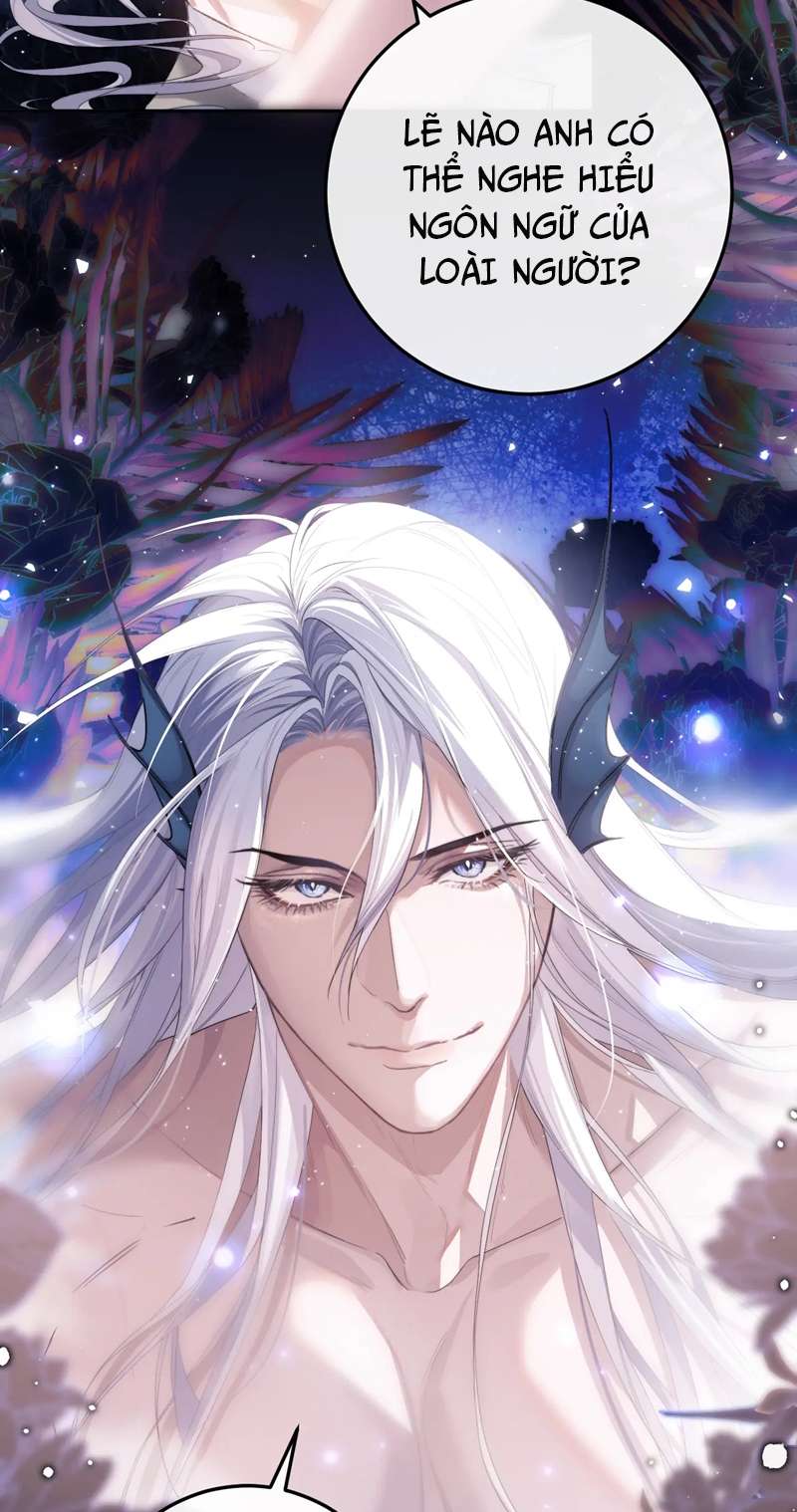 Desharow Nhân Ngư Chap 3 - Trang 2