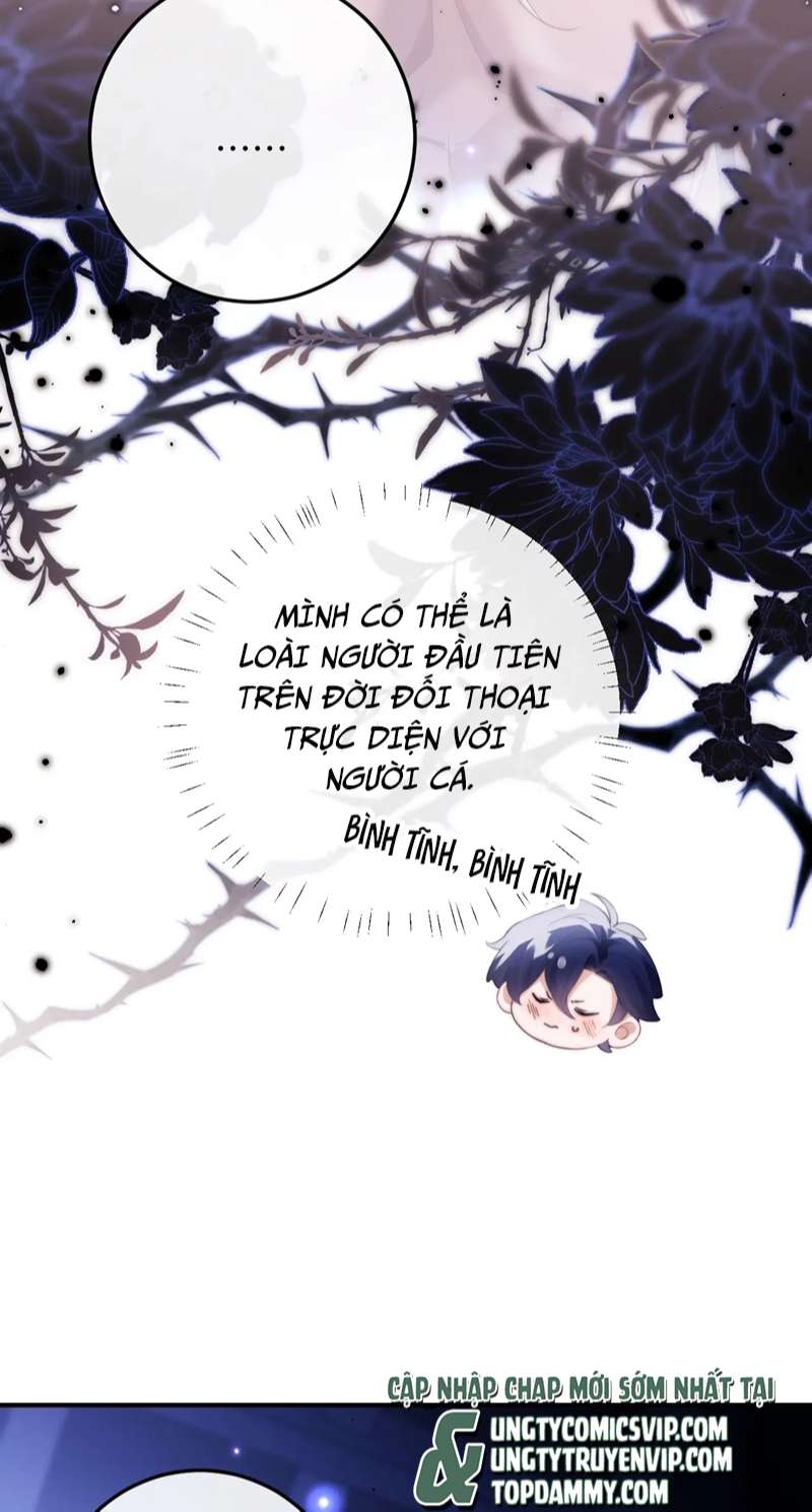 Desharow Nhân Ngư Chap 3 - Trang 2